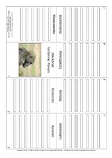 Faltbuch-Tschakma Pavian.pdf